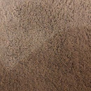 Meet your Posher, Christa